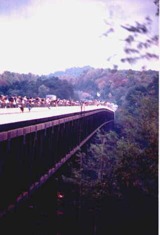 bridgeday.jpg (12466 bytes)