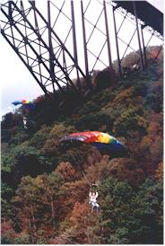 parachuters.jpg (75357 bytes)