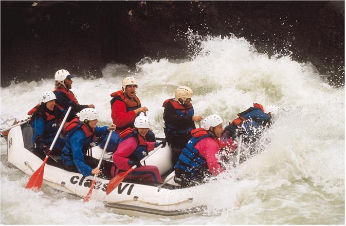 rafters.jpg (37188 bytes)