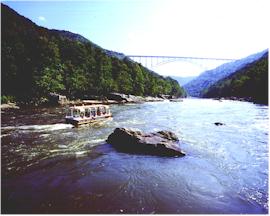 riverboat.jpg (84625 bytes)