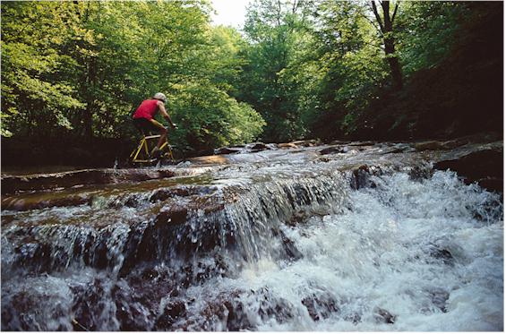 stream.jpg (76676 bytes)